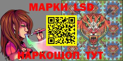 сатива Будённовск