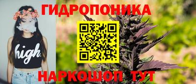 сатива Будённовск