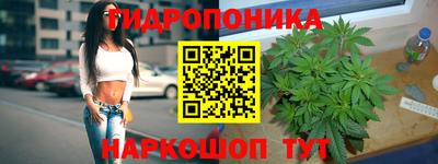 сатива Будённовск