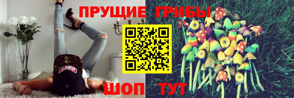 Галлюциногенные грибы Psilocybe  Вход с VPN  Галлюциногенные грибы Psilocybine cubensis  где продают наркотики  Красноперекопск 