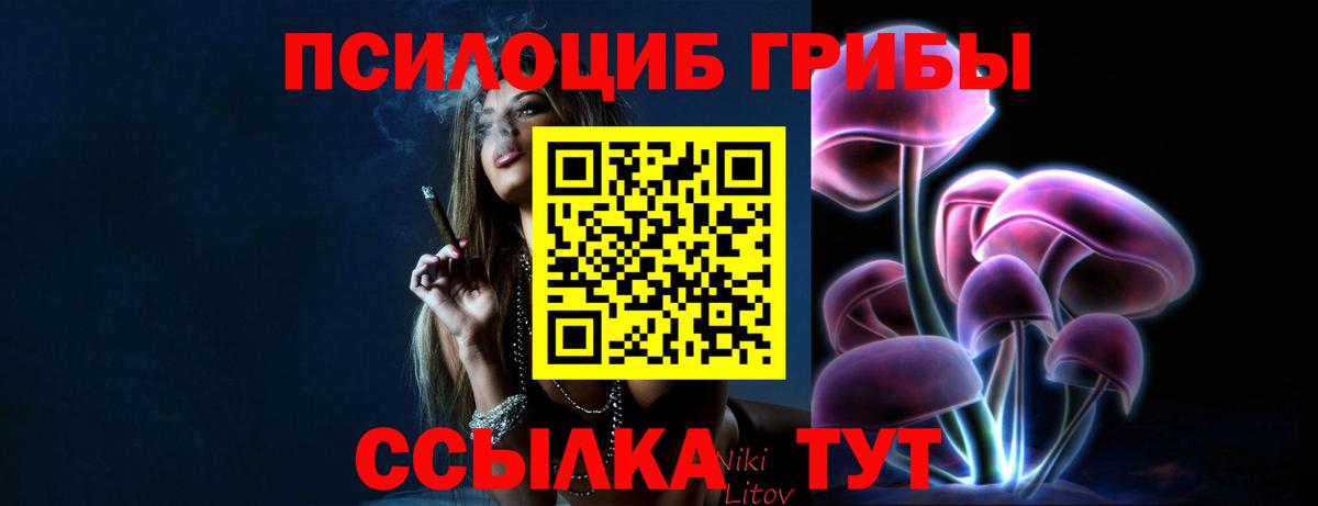 Галлюциногенные грибы Psilocybe Красноперекопск