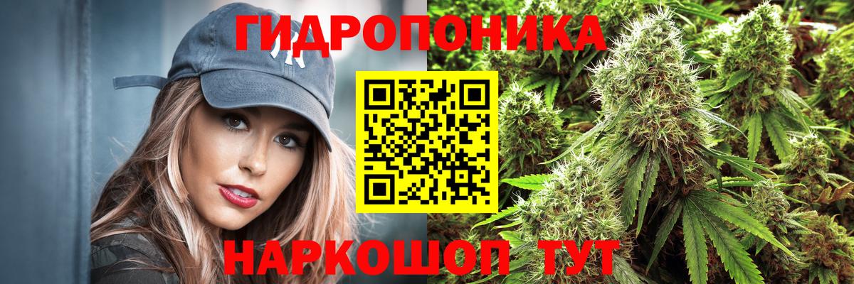 Каннабис сатива Красноперекопск